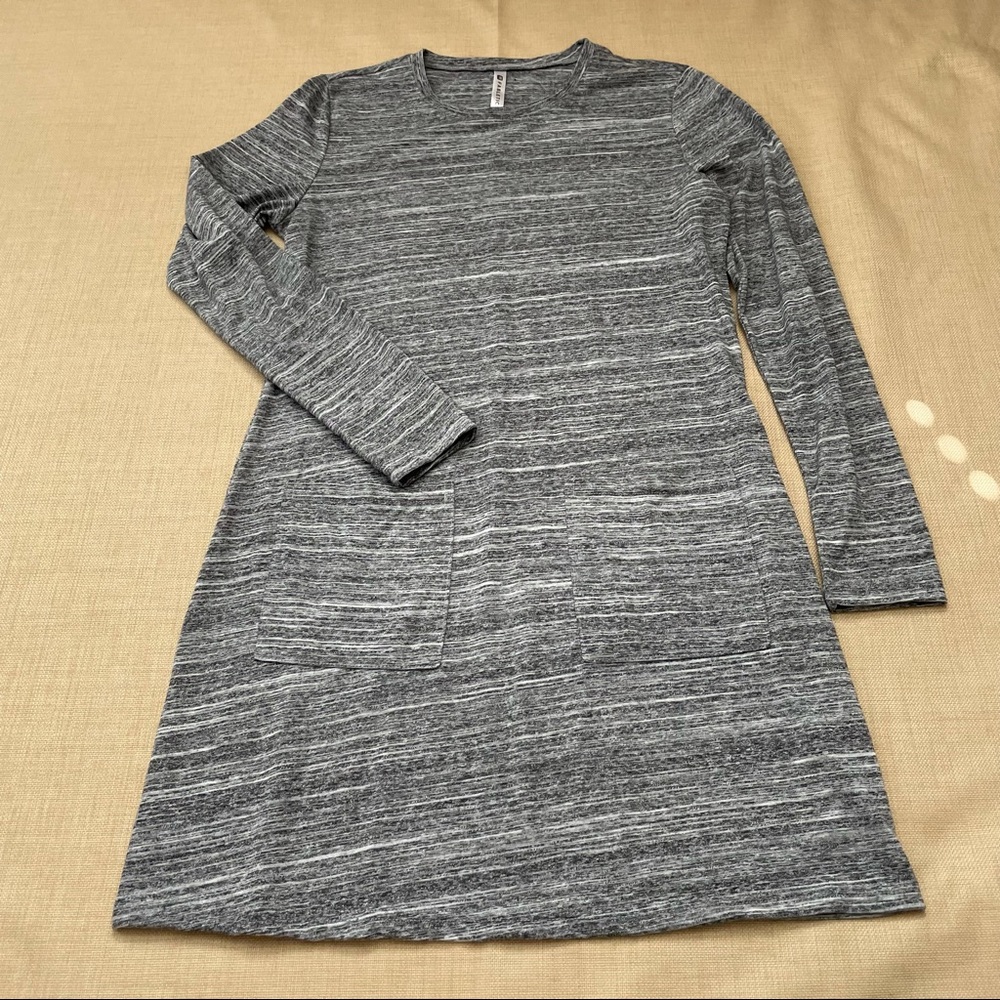 Fabletics Jamie Space Gray Mini Long Sleeve Dress